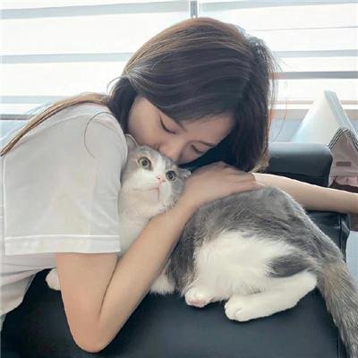 百花缭乱 武士少女 特典